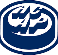 Ambri-Piotta a fait son choix parmi ses étrangers, Inti Pestoni blessé