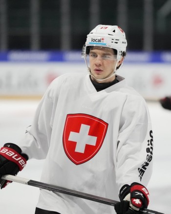 Marco Lehmann blessé face à la Suède