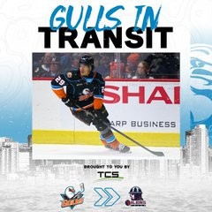 Rodwin Dionicio in der ECHL degradiert