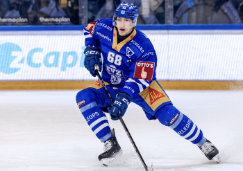 Fabrice Herzog  sur la touche pour plusieurs semaines