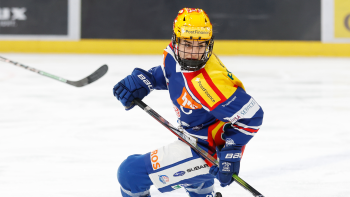 D'importants changements chez les championnes bernoises