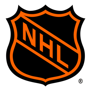 Plusieurs joueurs blessés après les premiers matchs de NHL