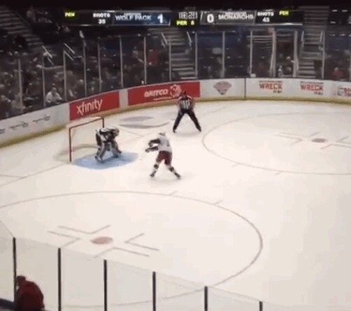 Un gardien d'AHL fait un arrêt sans le vouloir