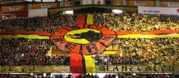 Analyse des affluences du hockey mondial