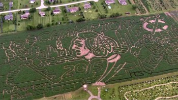 Les Blackhawks célébrés en grand dans un champ de maïs
