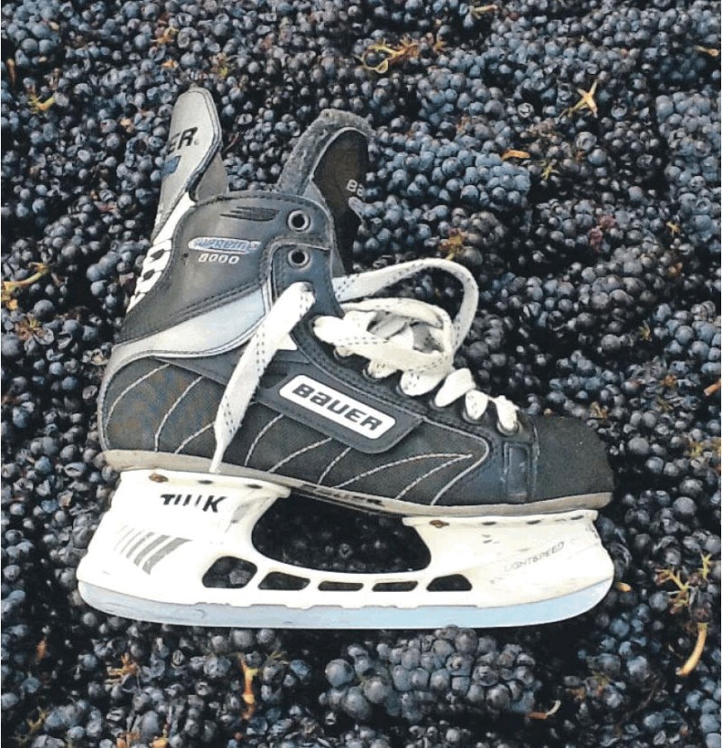 Quand d'anciens joueurs se transforment en... vignerons