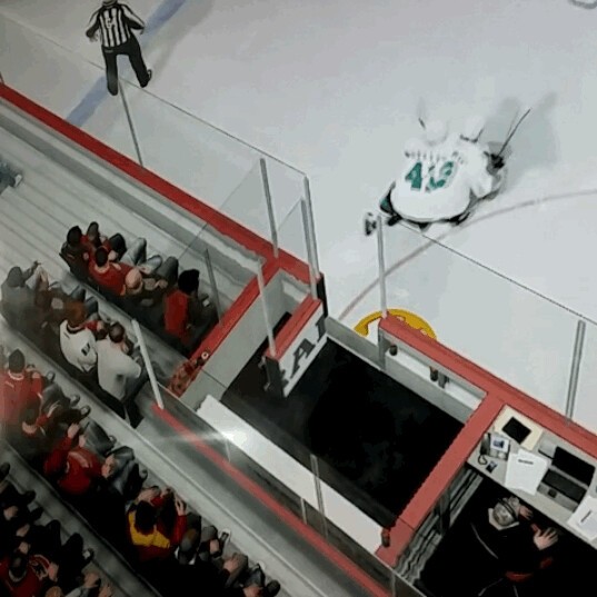 Quand Joe Thornton et Mirco Mueller ne font qu'un