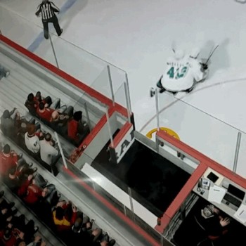 Quand Joe Thornton et Mirco Mueller ne font qu'un