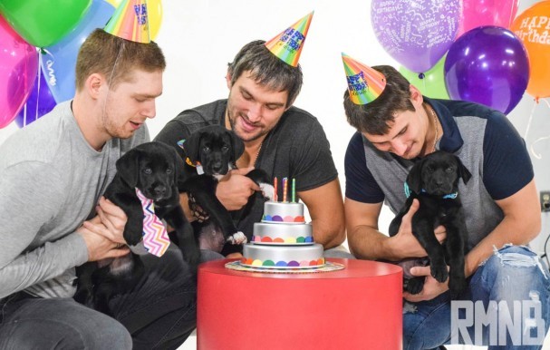 Un calendrier canin pour les Capitals