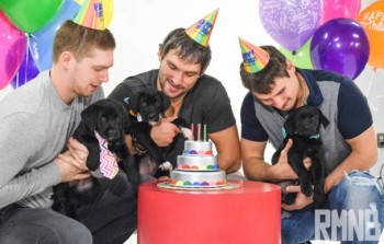 Un calendrier canin pour les Capitals