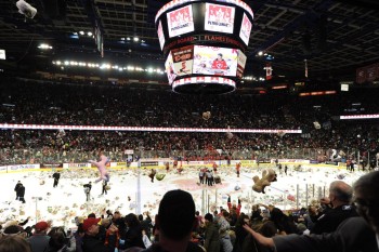 Plus de 28'000 peluches à Calgary