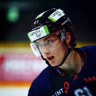 Un match de suspension contre Fabrice Herzog