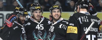 Gottéron, le culte de l'émotion