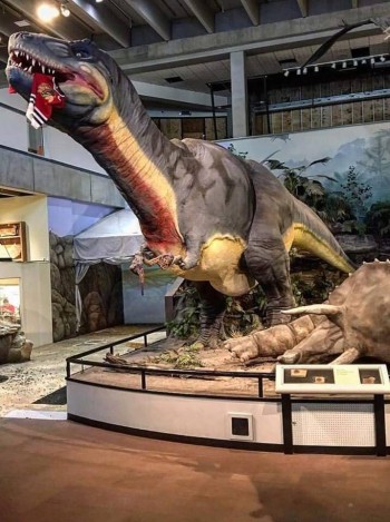 Le musée des sciences de St Louis affiche ses préférences