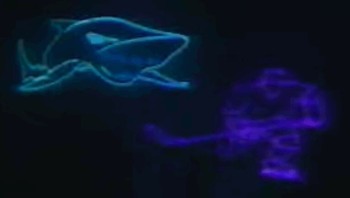 Rétro : show d'avant-match des Sharks lors de la création de la franchise