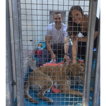 Sven Baertschi à l'interview