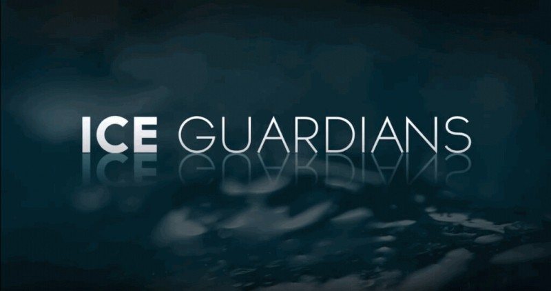 Un nouveau documentaire sur les goons dans le hockey