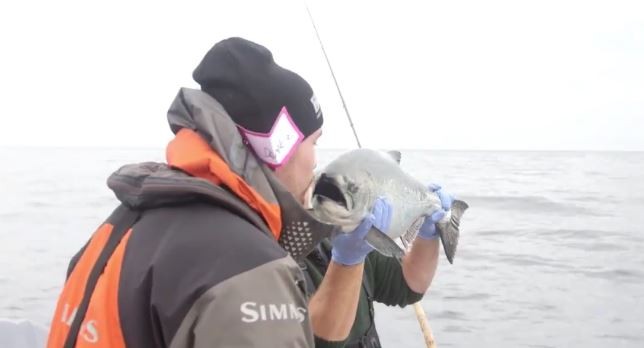 Une nouvelle expérience pour Sven Baertschi