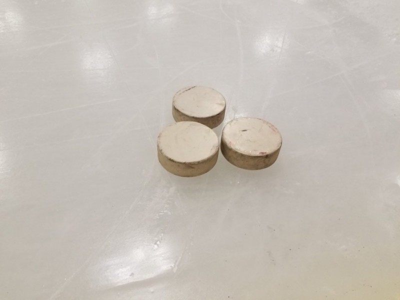 Reto Berra et les gardiens des Panthers s'entraînent avec des pucks blancs