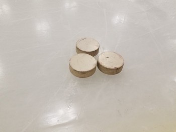 Reto Berra et les gardiens des Panthers s'entraînent avec des pucks blancs