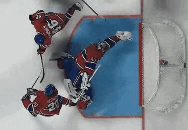 A revoir : l’arrêt de Charlie Lindgren