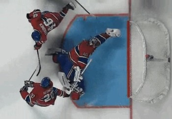 A revoir : l’arrêt de Charlie Lindgren