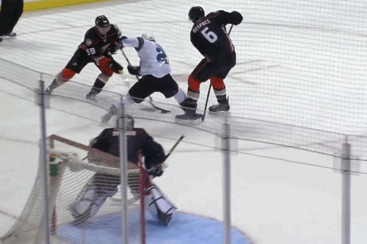 Deux bien jolis buts lors du match Ducks-Sharks