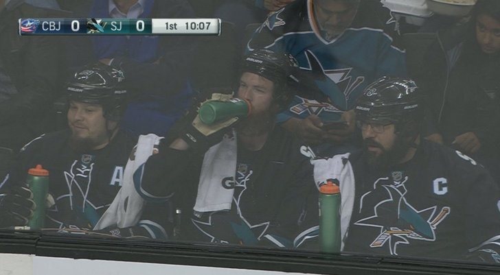 Des fans des Sharks pleinement dans leur match
