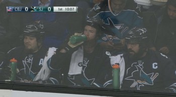 Des fans des Sharks pleinement dans leur match