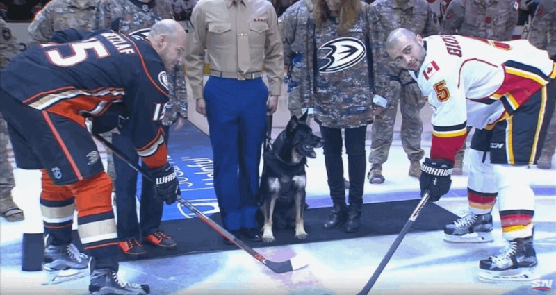 Une mise en jeu plutôt originale du côté d'Anaheim