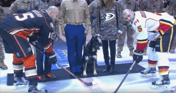 Une mise en jeu plutôt originale du côté d'Anaheim