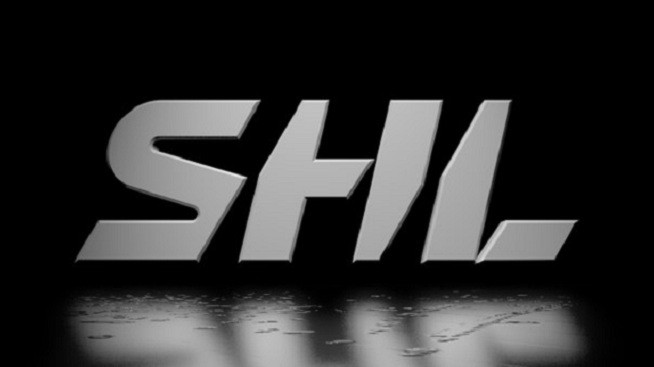 Les clubs suédois recevront un soutien direct de l'Etat