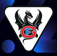 Détail de l'assemblée générale de Gottéron