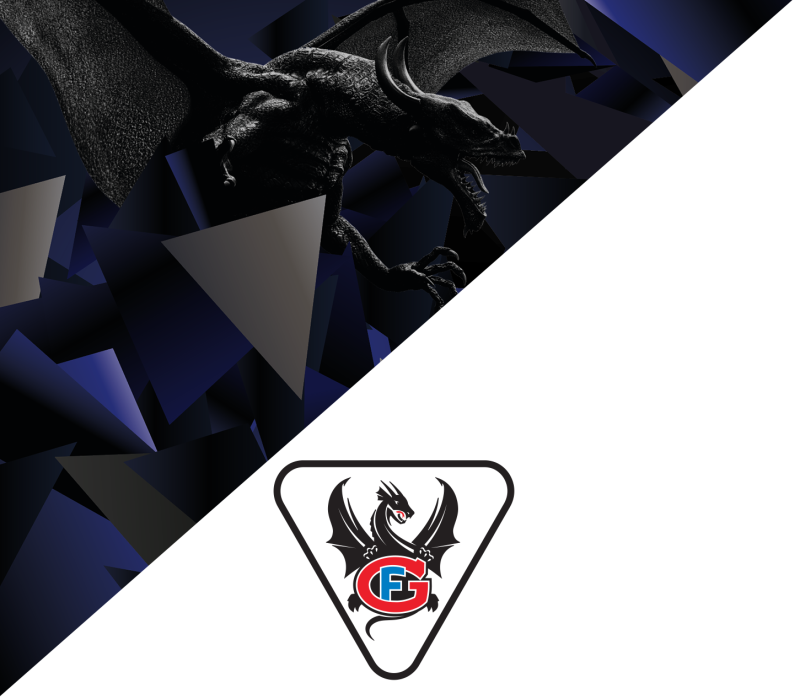 Joueurs et staff de Fribourg-Gottéron en quarantaine