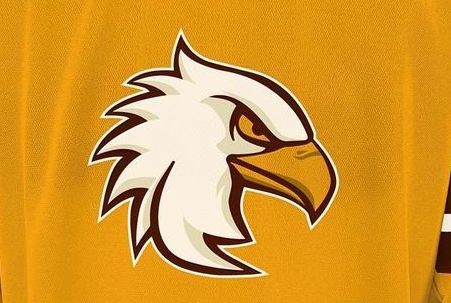 Un concept d'artiste de trois nouveaux maillots pour Genève-Servette