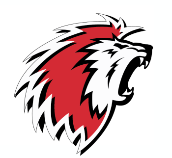 La cabale supposée de certains dirigeants alémaniques envers le Lausanne HC