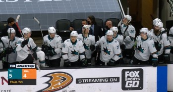 Les Sharks battent les Ducks, Damien Riat n'a pas pu débuter son championnat