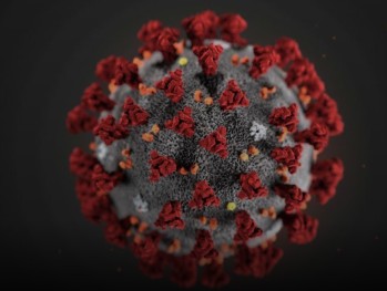 Les ligues pro nord-américaines participent à une étude sur les impacts du virus pour les joueurs touchés