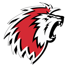 Le Lausanne Hockey Club réorganise son conseil d'administration