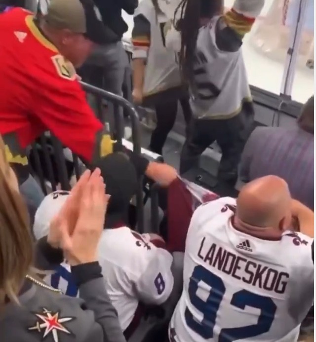 La NHL a aussi droit à son lot de supporters limités
