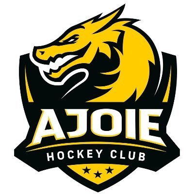 Les nouveaux arrivés au HC Ajoie