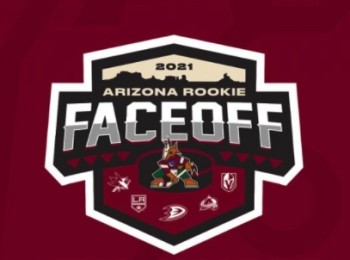 Janis Moser sera directement dans le bain dès son arrivée en NHL