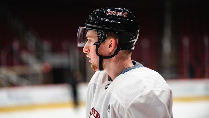 Janis Moser débutera son aventure en Amérique du nord par l'American Hockey League