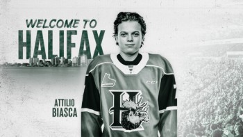 Le Suédois Attilio Biasca va pouvoir débuter sa saison de LHJMQ