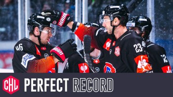 Retour en images sur le parcours jusqu'ici parfait de Fribourg-Gottéron en Champions Hockey League