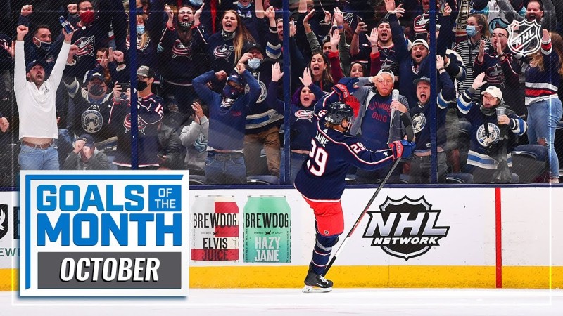 Les plus beaux buts du mois écoulé en NHL