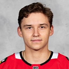 Philipp Kurashev se relance en AHL, Nico Hischier retrouve le chemin des filets mais s'incline, doublé pour Lorenzo Canonica
