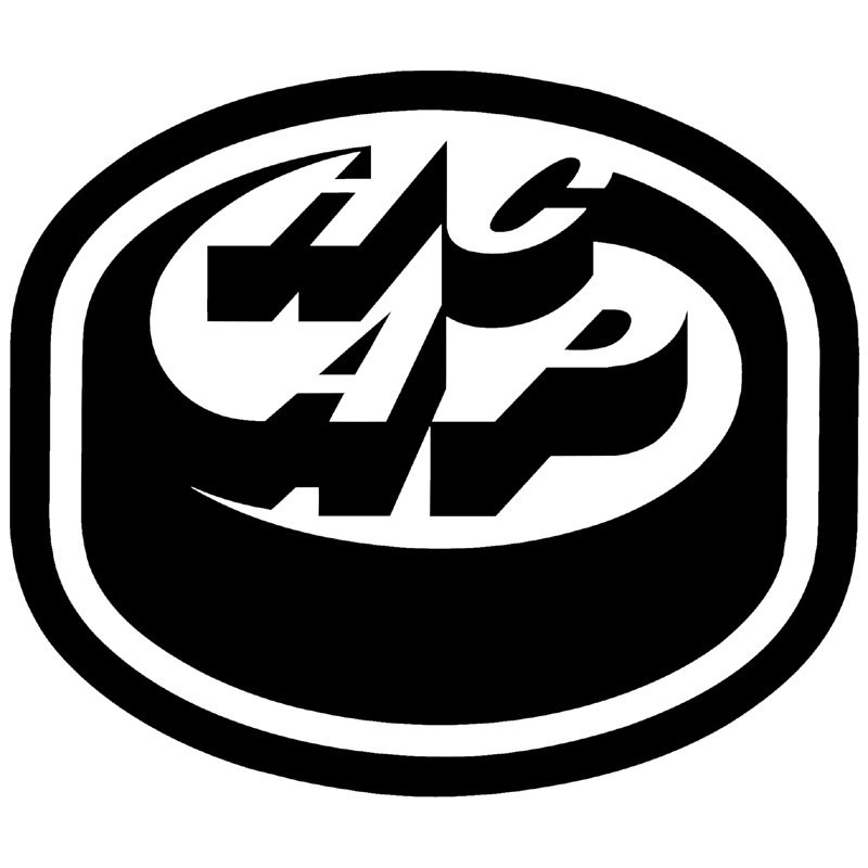 Ambri perd D'Agostini et Conacher