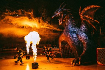 Un budget en hausse pour Fribourg-Gottéron, mais un lourd endettement à gérer