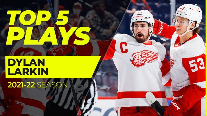 Les plus jeux de Dylan Larkin la saison passée